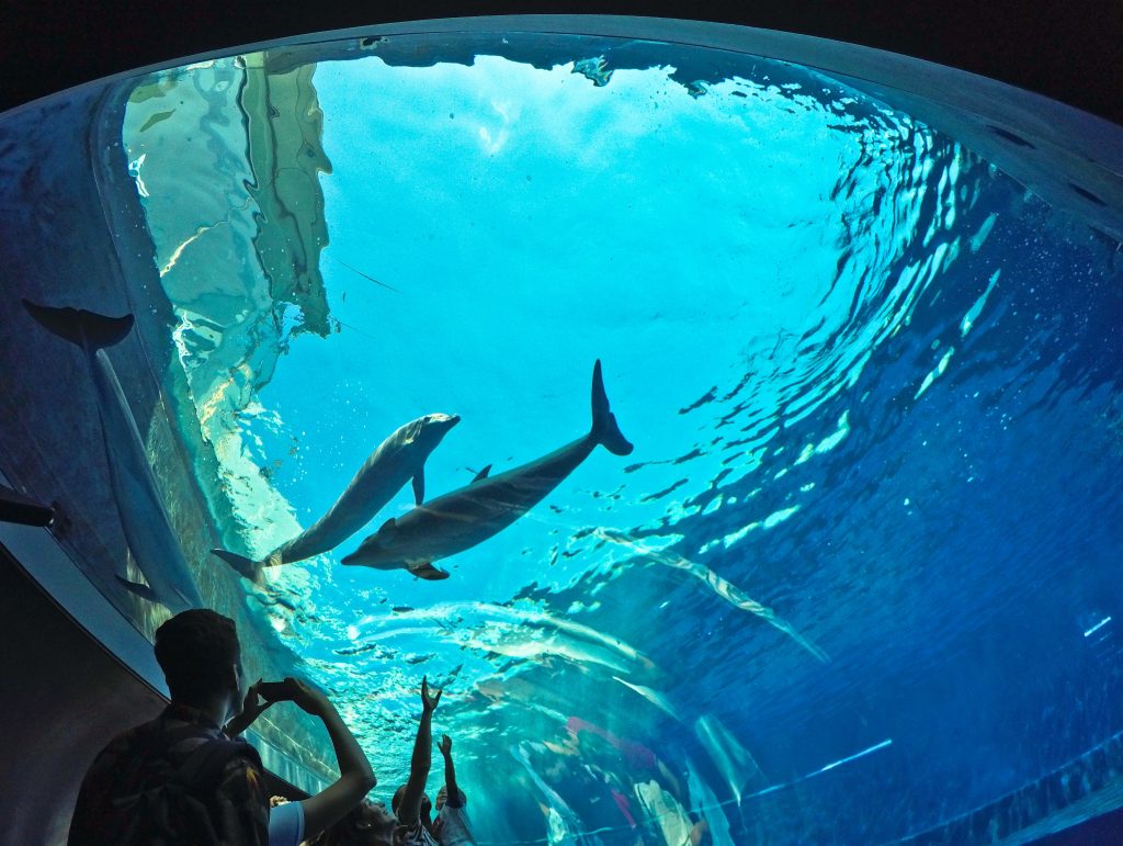 Pontos Turísticos da Itália: Acquario di Génova