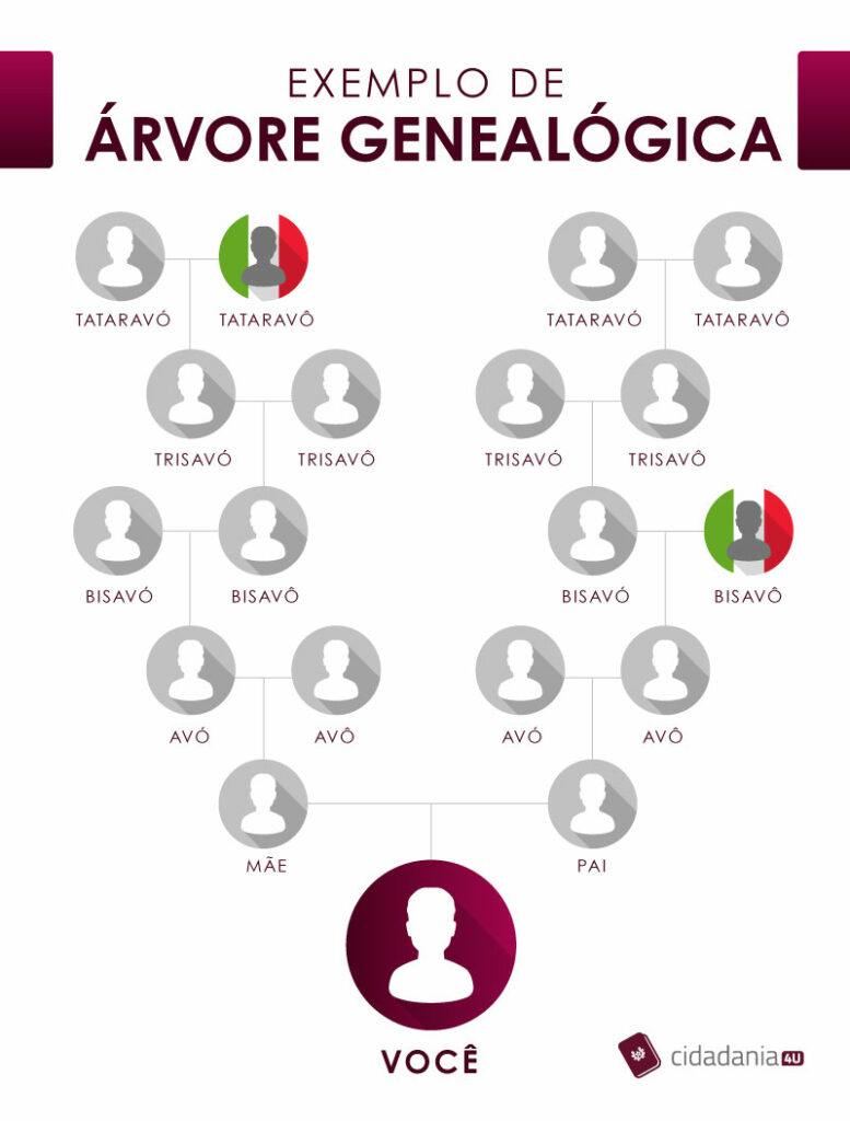 Árvore genealógica